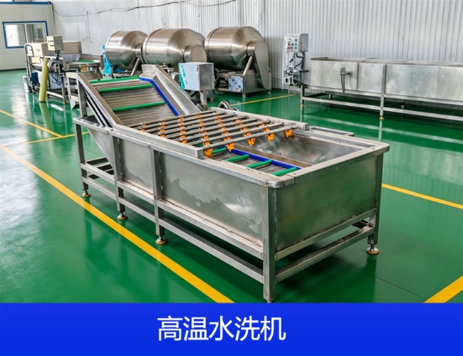 湖北果蔬气泡鼓浪清洗机