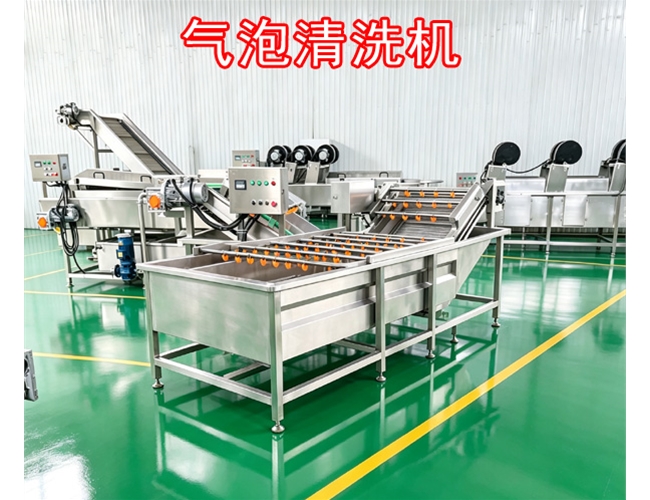 湖北桔梗气泡清洗机