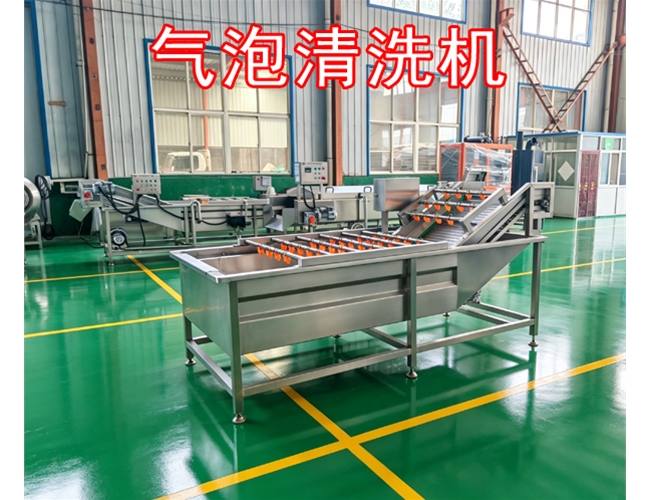 湖北银耳气泡清洗机