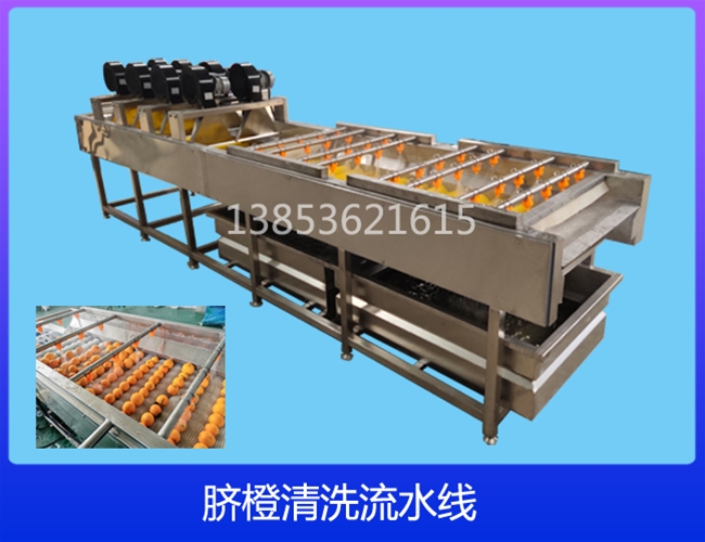 湖北脐橙清洗机
