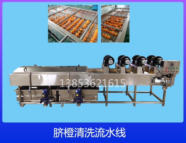 湖北沃柑清洗机