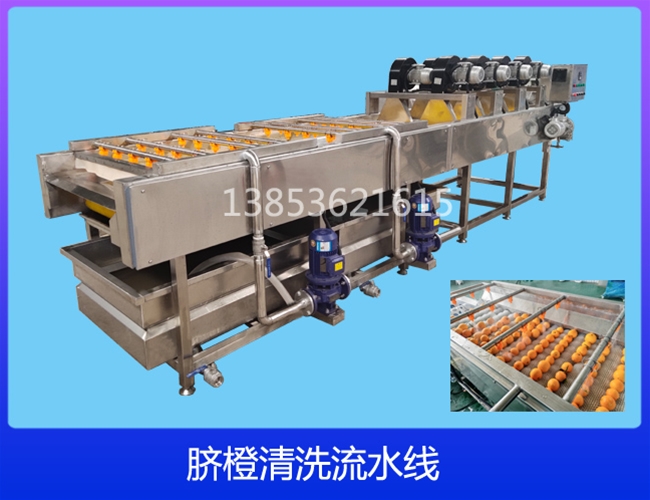 湖北柠檬清洗机