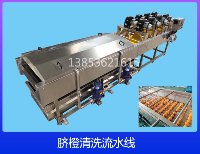 湖北陈皮清洗机