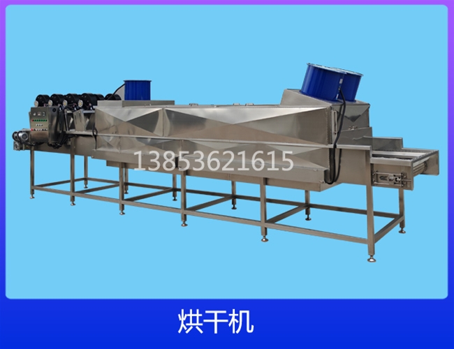 湖北电加热网带链板烘干机