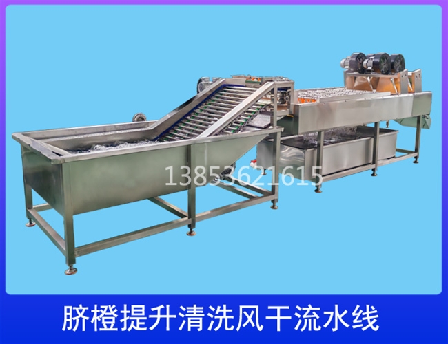 湖北柑橘提升清洗流水线