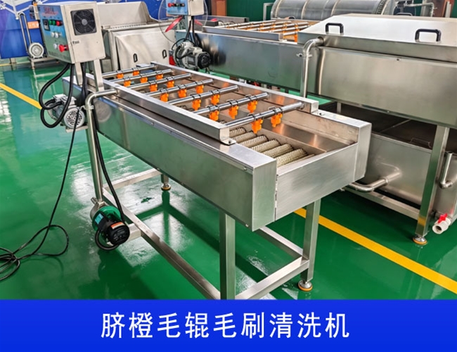 湖北沃柑毛辊毛刷清洗机