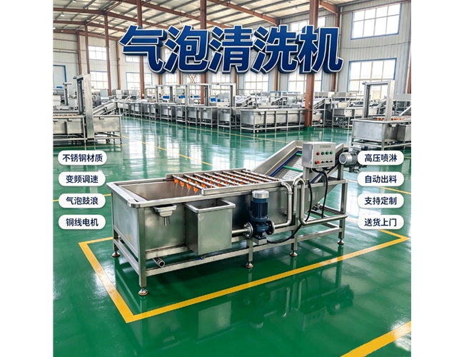 湖北根茎类气泡清洗机