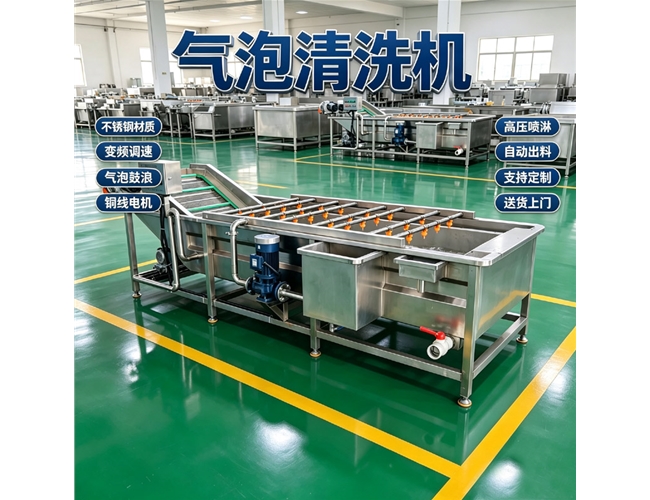 湖北鱼虾气泡清洗机