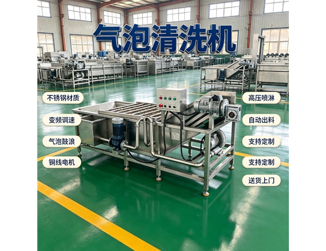 湖北草莓气泡清洗机